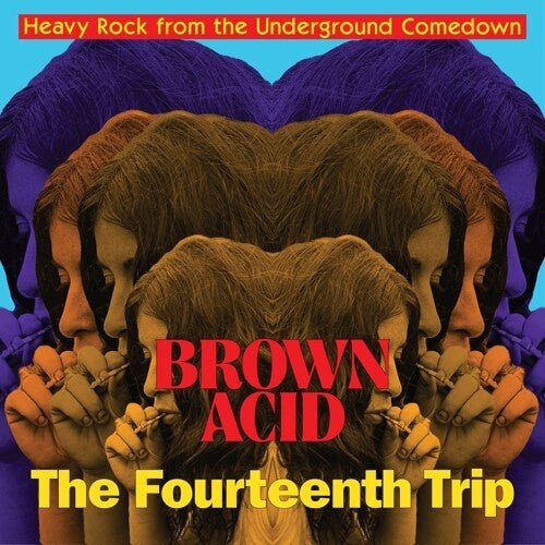 BROWN ACID - FOURTEENTH TRIP (VARIOUS ARTISTS)