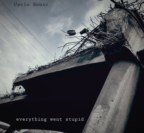 EVERYTHING WENT STUPID