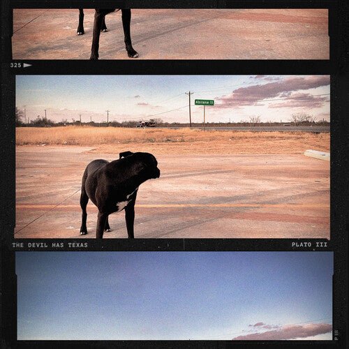 DEVIL HAS TEXAS - CLEAR DARK TEAL