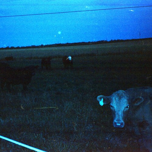 ANTARCTICA - DARK BLUE