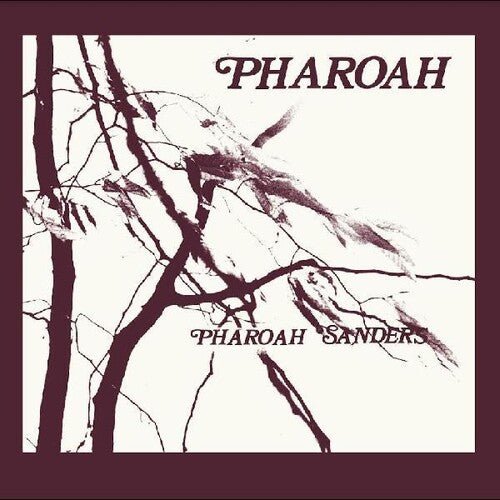 PHAROAH