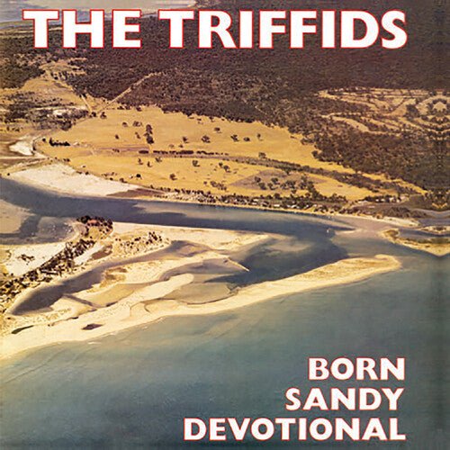 BORN SANDY DEVOTIONAL