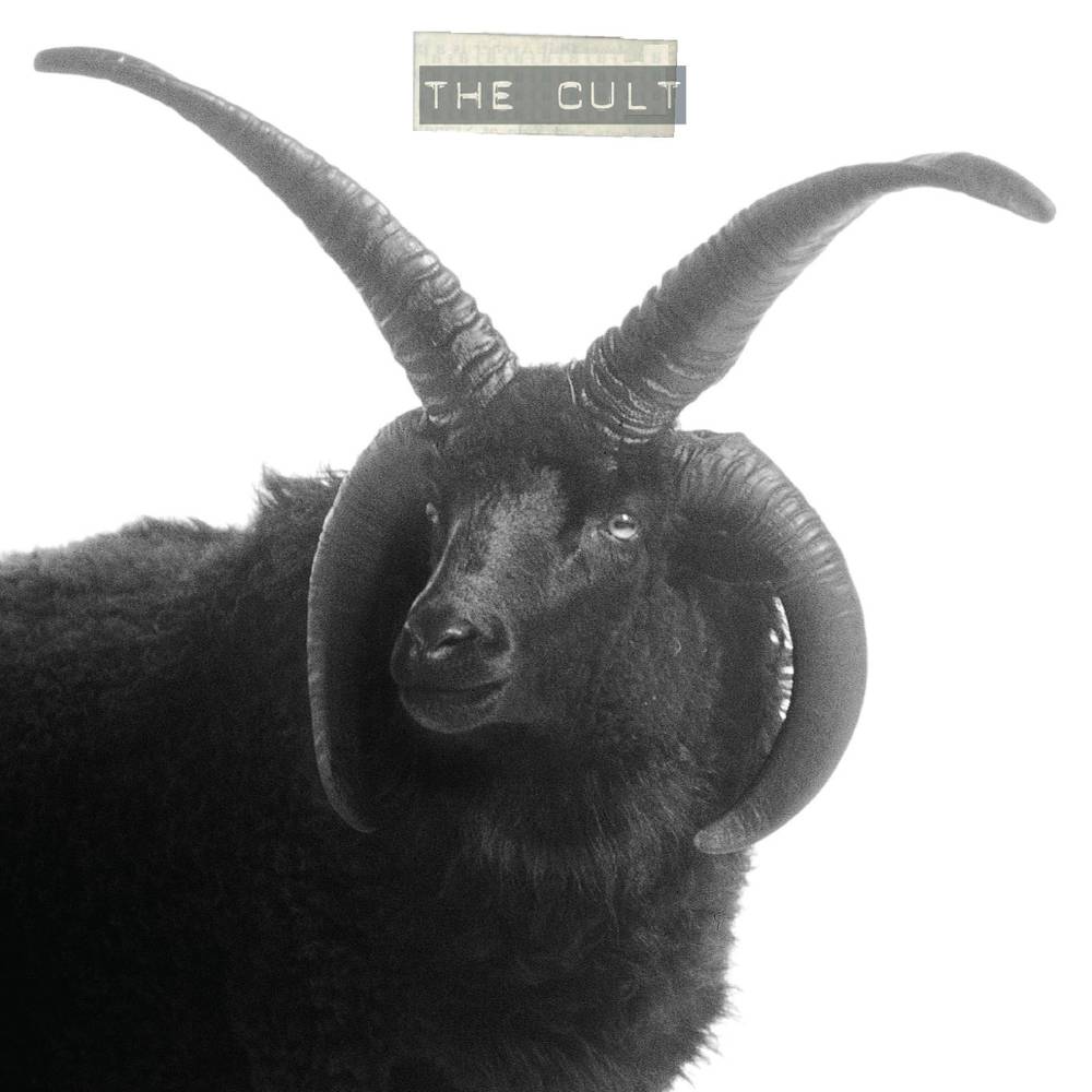 CULT Vinyl LP