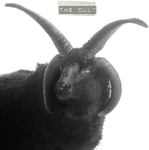 CULT