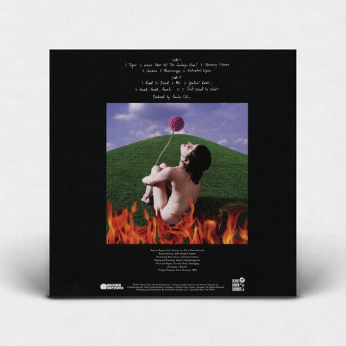 COLE,PAULA - THIS FIRE Vinyl LP
