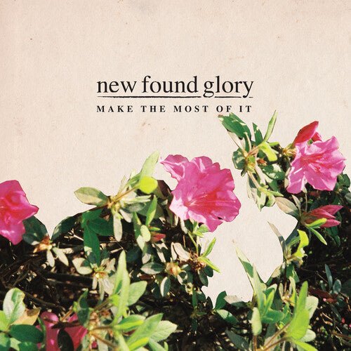 NEW FOUND GLORY - MAKE THE MOST OF IT Colored Vinyl LP