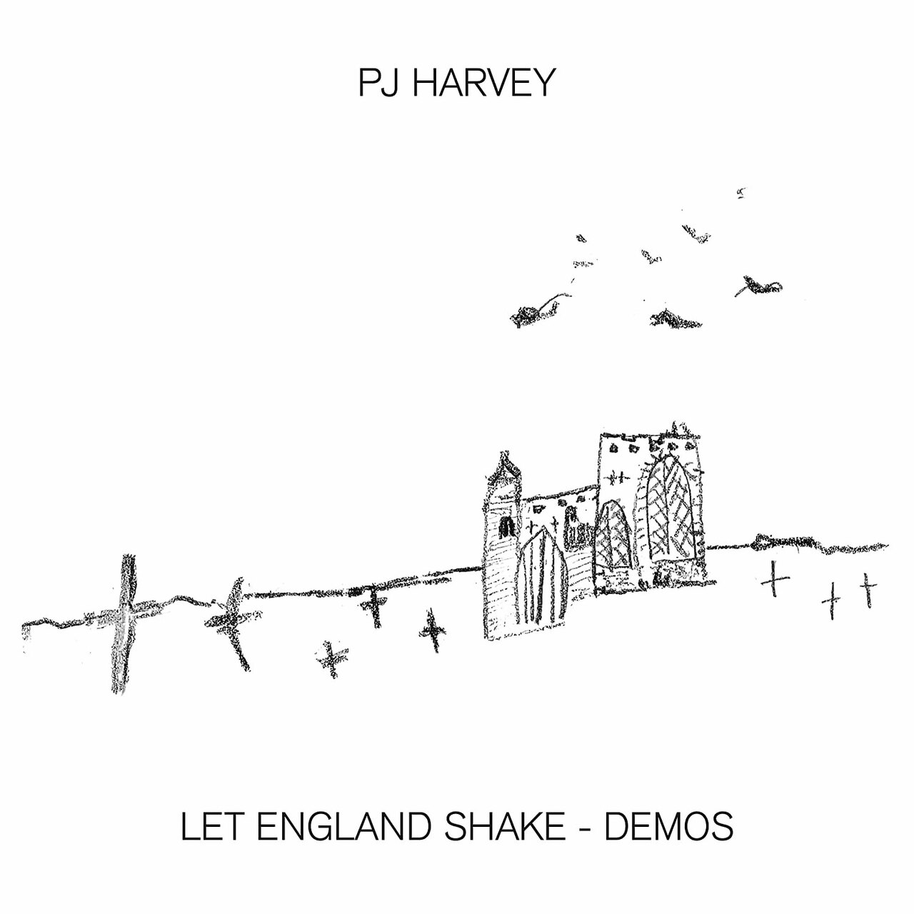 High quality SIGNED PJ Harvey Let England Shake Demos LP