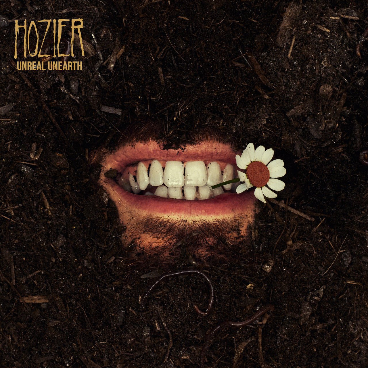 HOZIER - UNREAL UNEARTH Vinyl LP