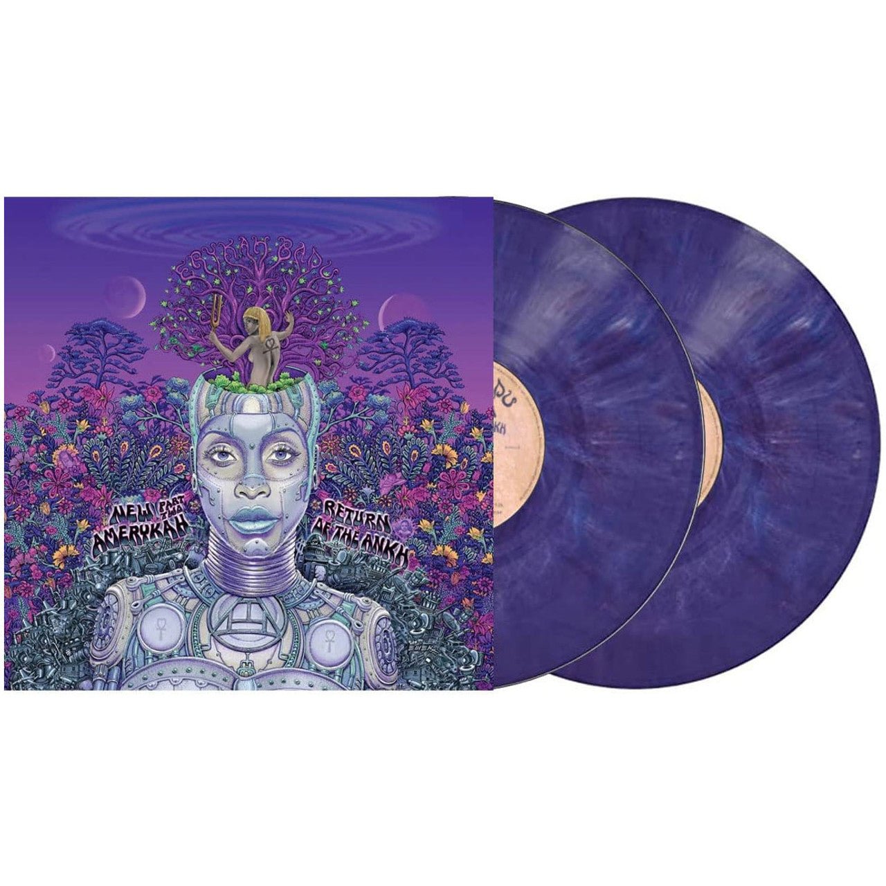 NEW AMERYKAH PART TWO (RETURN OF THE ANKH)