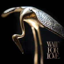 WAIT FOR LOVE (TRANS CLR)
