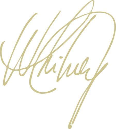 HOUSTON,WHITNEY - WHITNEY HOUSTON Vinyl LP