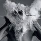 AFGHAN WHIGS - DO TO THE BEAST Colored Vinyl LP