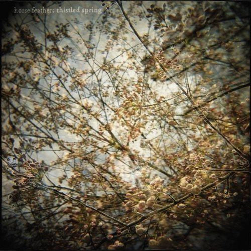 THISTLED SPRING