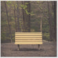 STREETLIGHT MANIFESTO - HANDS THAT THIEVE Clear Vinyl LP