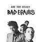 BAD BRAINS - ARE YOU READY: FIRST STUDIO RECORDING INNER EAR March 1979 Coke Bottle Clear Vinyl LP