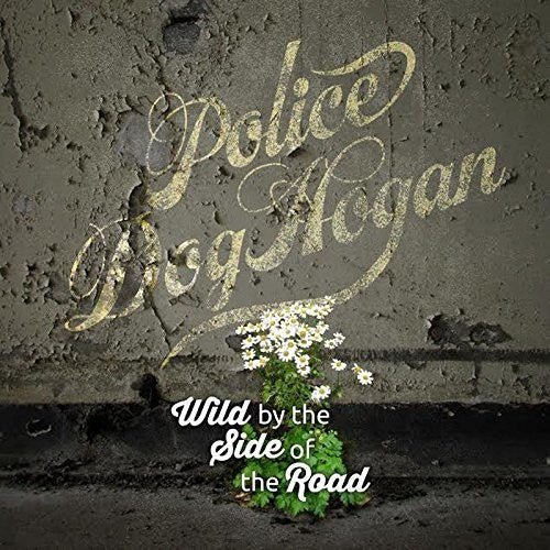 WILD BY THE SIDE OF THE ROAD