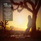 PARSONS,GRAM & THE FALLEN ANGELS - SONIC SUNSET Vinyl LP