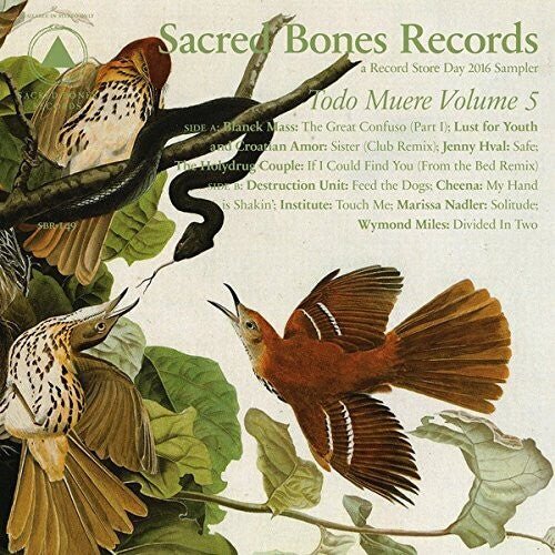 TODO MUERE VOL 5 / VARIOUS