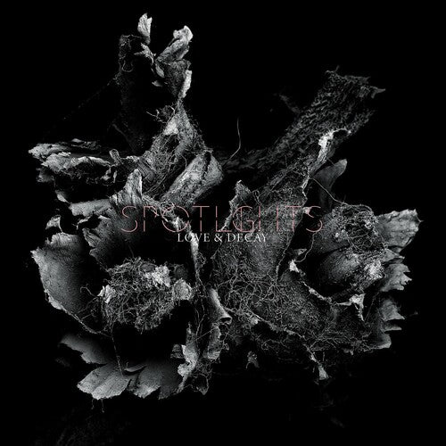 LOVE & DECAY