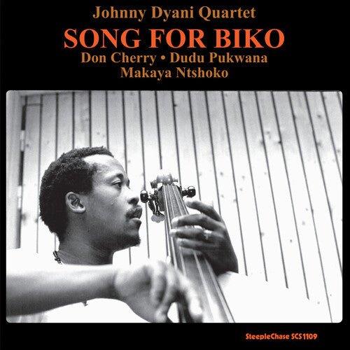 SONG FOR BIKO
