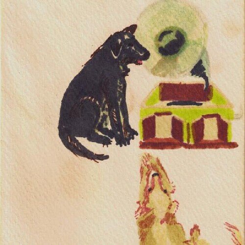 LUCKY DOG