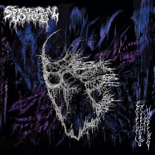 ERODED CORRIDORS OF UNBEING