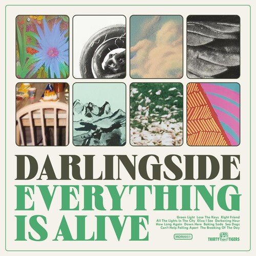 EVERYTHING IS ALIVE