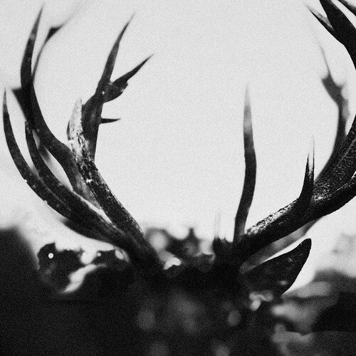 IHSAHN - BLACK YOLK