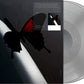 TWELVE CARAT TOOTHACHE - LIMITED EDITION
