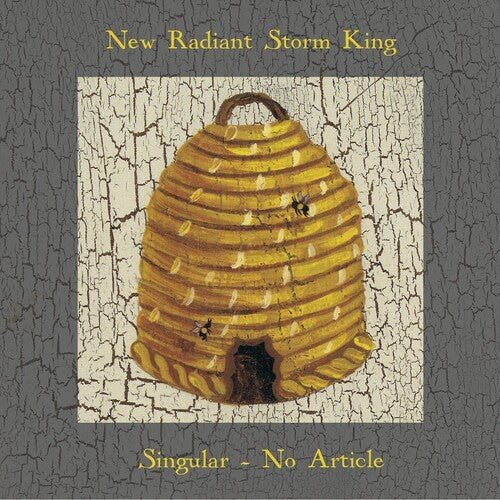 SINGULAR NO ARTICLE