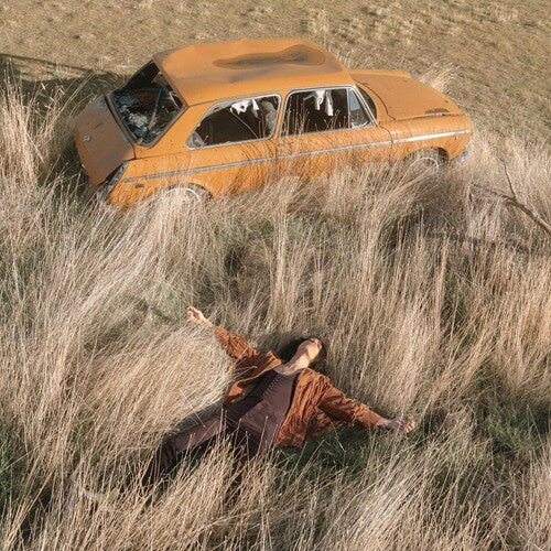 PLOW THAT BROKE THE PLAINS