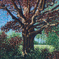 SONGS FOR THE WILLOW