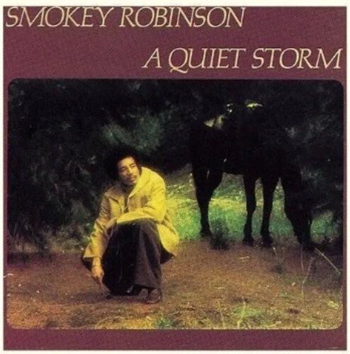 QUIET STORM