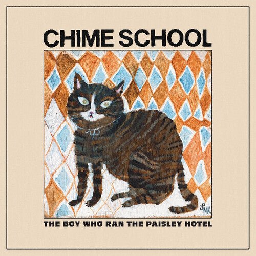 BOY WHO RAN THE PAISLEY HOTEL