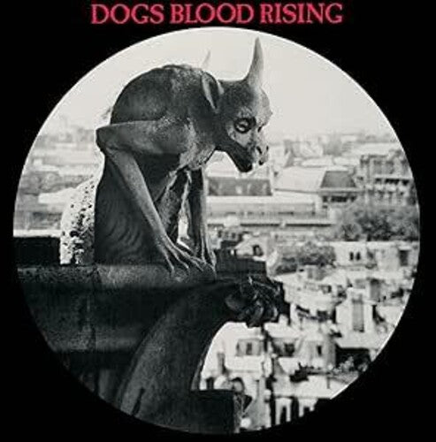 DOGS BLOOD RISING