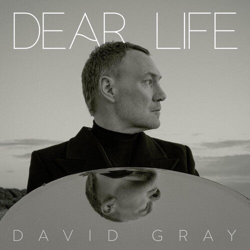 DEAR LIFE - SEAWEED GREEN