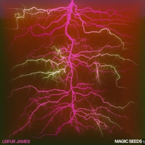 MAGIC SEEDS