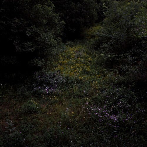 HIGHER LONELY POWER - BLACK & WHITE