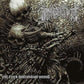EXTRA DIMENSIONAL WOUND - LIMITED EDITION