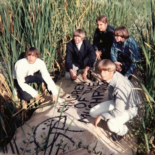CHILDREN OF THE MUSHROOM