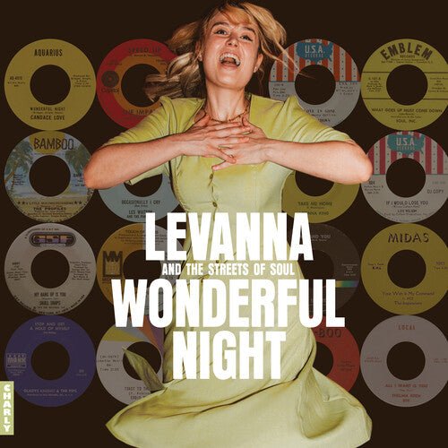 WONDERFUL NIGHT CURATED BY LEVANNA / VARIOUS