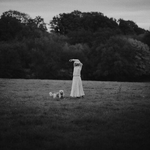 ON THE WING