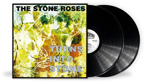 TURNS INTO STONE