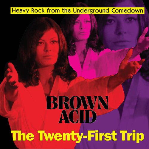 BROWN ACID - THE TWENTY-FIRST TRIP / VARIOUS