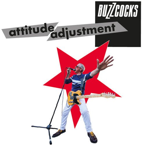 ATTITUDE ADJUSTMENT