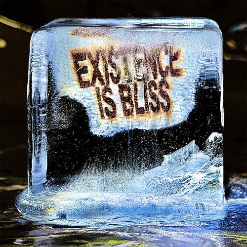 EXISTENCE IS BLISS