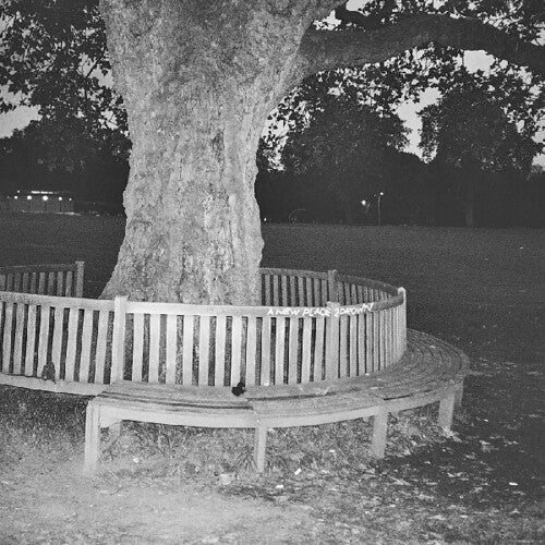 NEW PLACE 2 DROWN (INSTRUMENTALS)