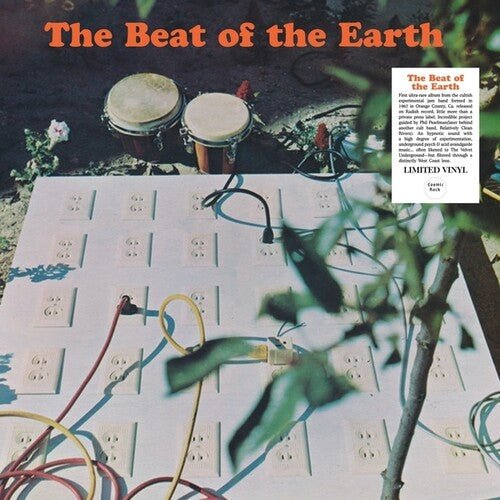 BEAT OF THE EARTH