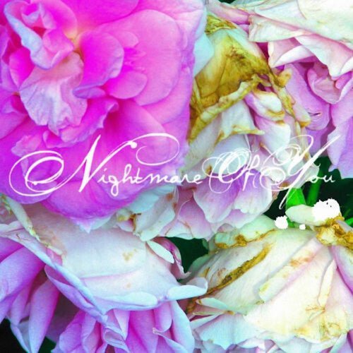 NIGHTMARE OF YOU