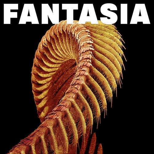 FANTASIA - YELLOW